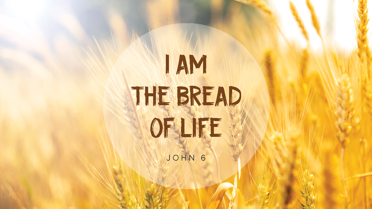 i am bread of life