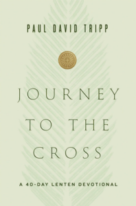 Book Cover: Journey to the Cross